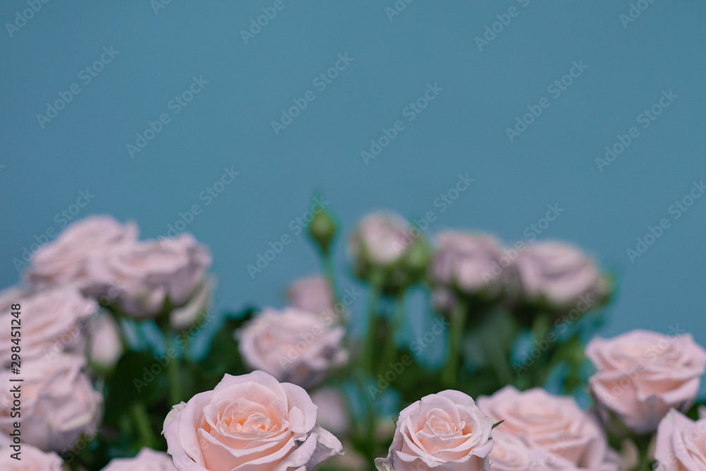 Beautiful bushy delicate light pink roses on a light blue background. Artistic blur.