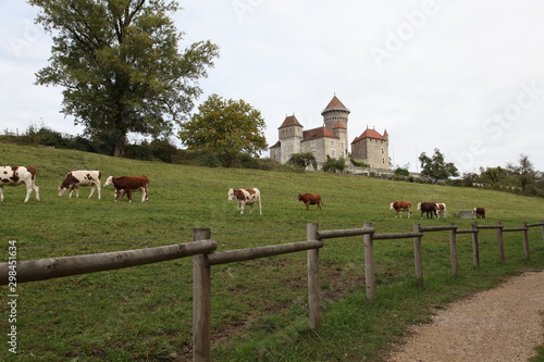 France, Lovagny, Montrottier Castle photo