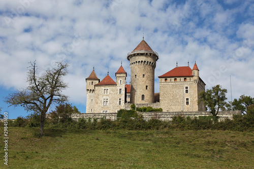 France, Lovagny, Montrottier Castle