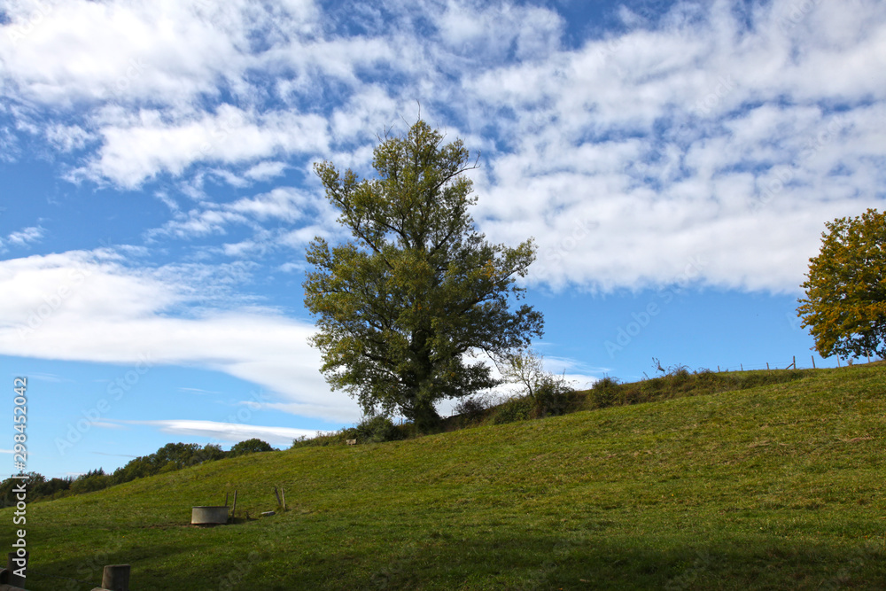 France, Lovagny, Montrottier Castle