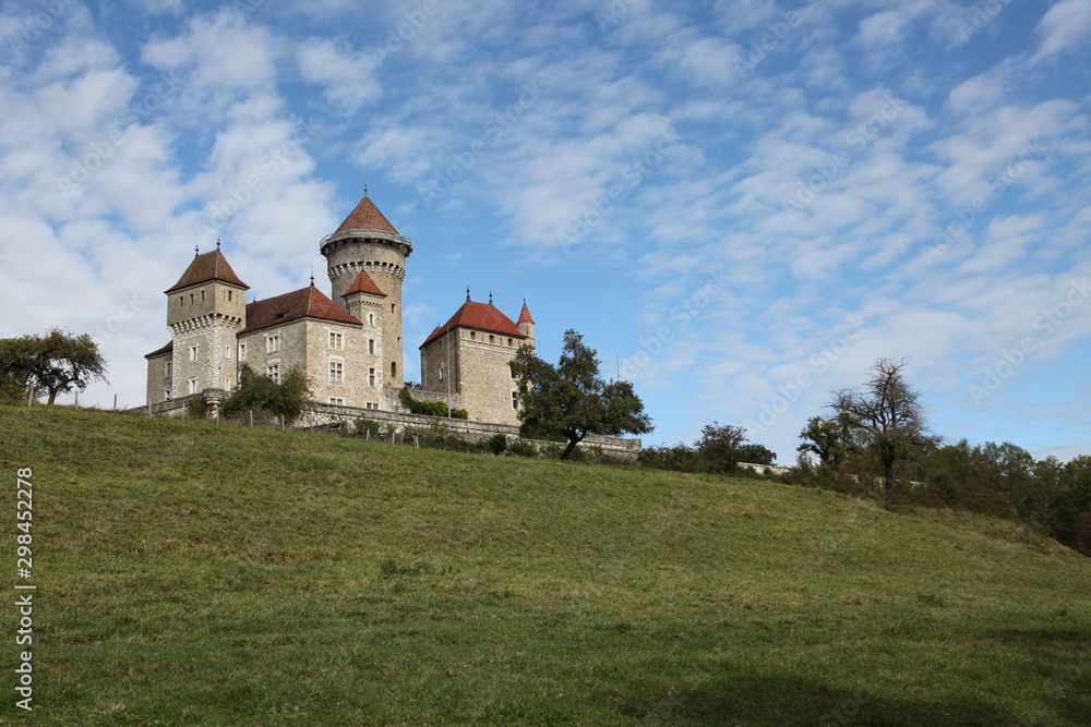Fototapeta premium France, Lovagny, Montrottier Castle