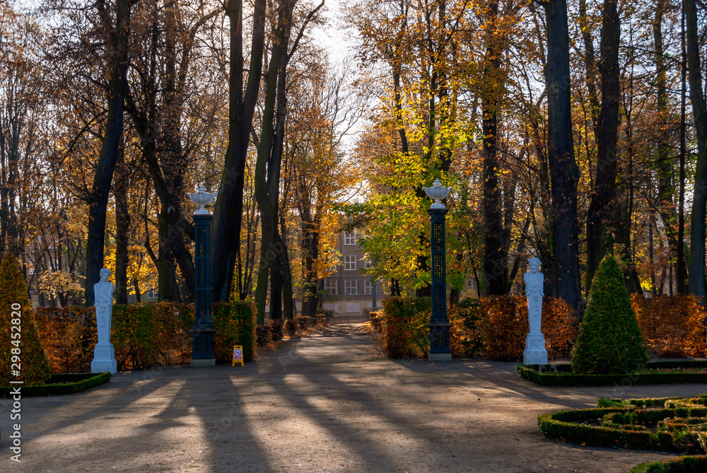 Fototapeta premium Park Branickich jesienią, Wersal Podlasia, Białystok, Podlasie, Polska
