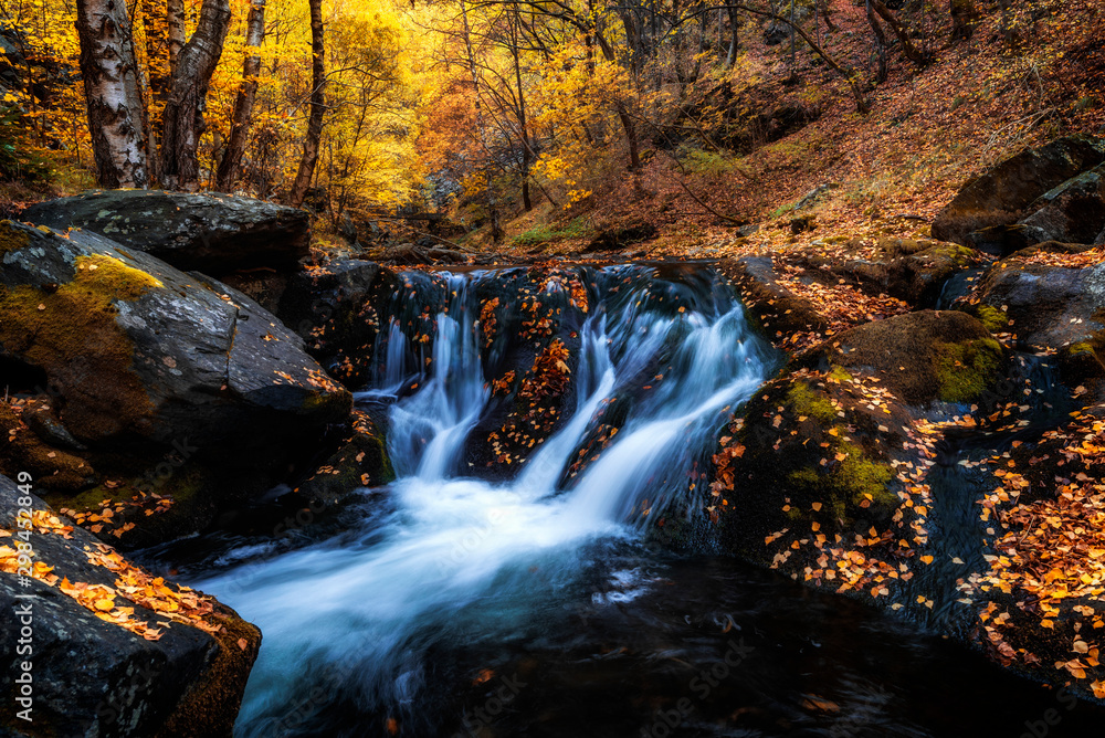 Autumn landscape beautiful colored trees over the river, glowing in sunlight. wonderful picturesque background. Autumn landscape beautiful colored trees over the river, glowing in sunlight. wonderful picturesque background.
