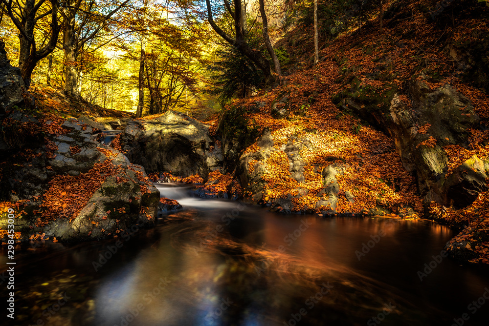 Autumn mountain colors of Old River ( Stara reka ) , located at Central Balkan national park in Bulgaria