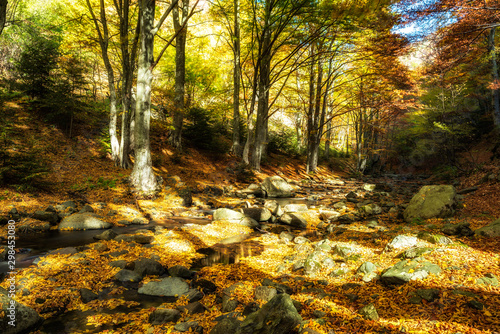Fototapeta Naklejka Na Ścianę i Meble -  Autumn mountain colors of Old River ( Stara reka ) , located at Central Balkan national park in Bulgaria