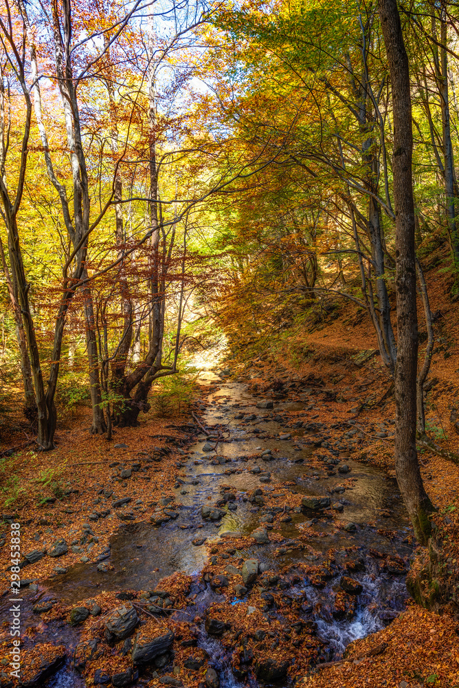 Autumn mountain colors of Old River ( Stara reka ) , located at Central Balkan national park in Bulgaria