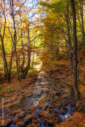 Autumn mountain colors of Old River ( Stara reka ) , located at Central Balkan national park in Bulgaria © Petar