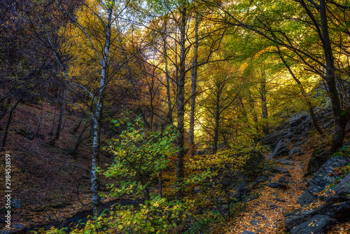 Autumn mountain colors of Old River ( Stara reka ) , located at Central Balkan national park in Bulgaria