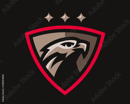  Eagle modern logo. Eagle design emblem template for a sport and eSport team.