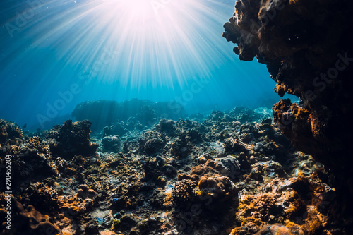 Underwater scene with corals, rocks and sun rays. Tropical ocean and reef