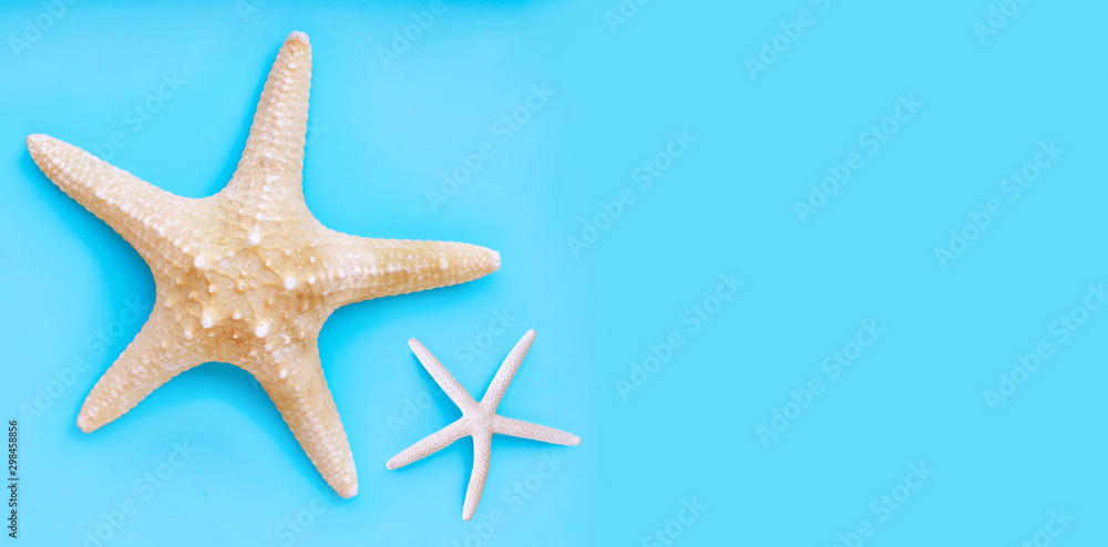 Two starfish on blue background. Top view with copy space Two starfish on blue background. Top view with copy space