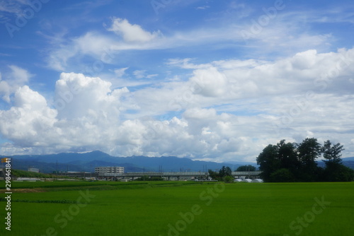 一面に広がる畑と夏の空 長野県佐久市