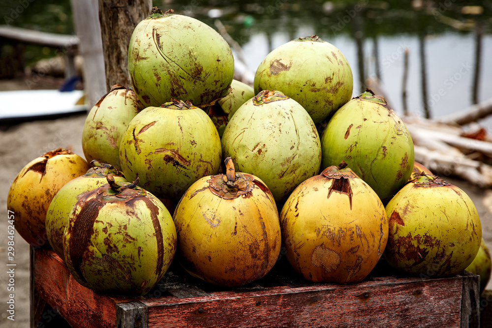 Lots of fresh green coconuts lined with a stack. Closeup market stalls