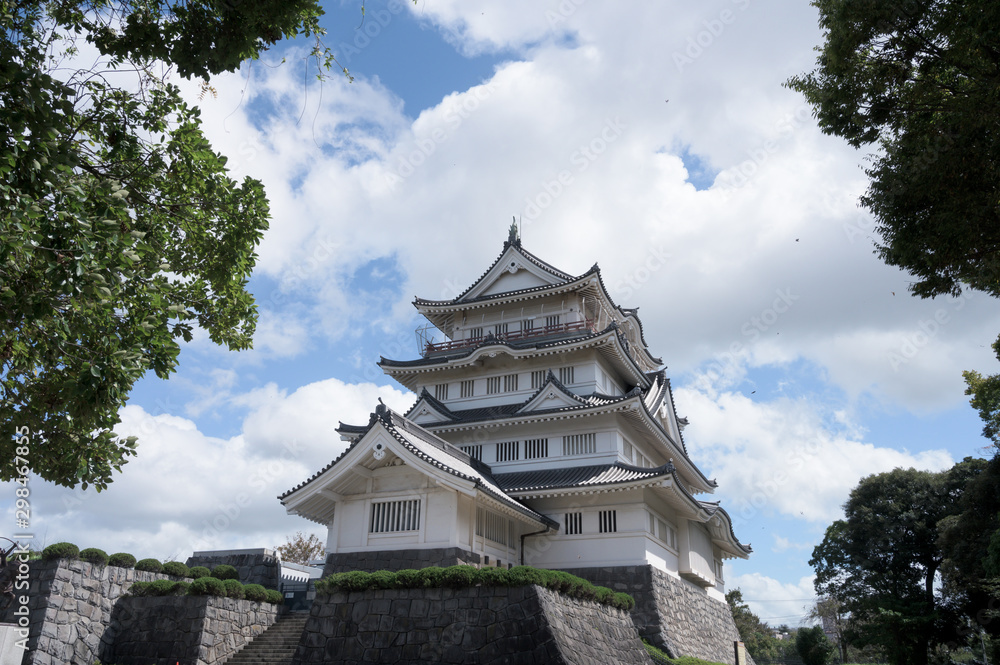 Fototapeta premium 青空と城