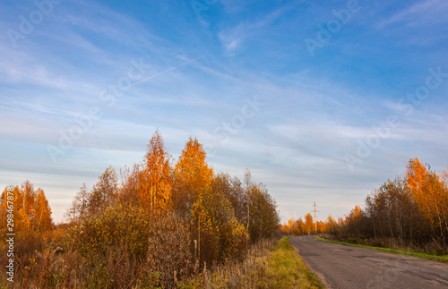 Suburban road goes into the distance at sunset