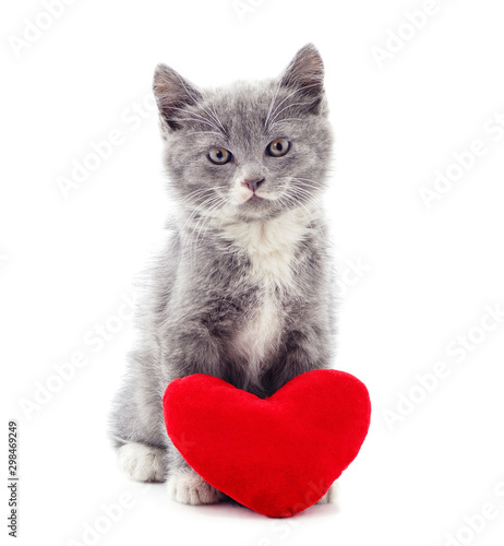 One beautiful cat with the heart.