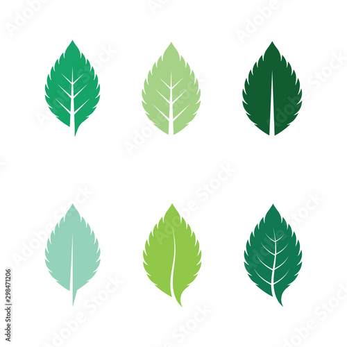 set of mint leaves flat vector color icon