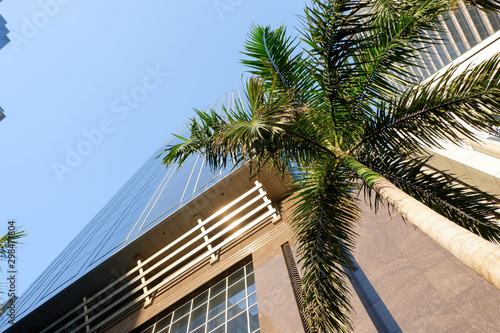 Cityscapes Buildings with Trees and Blue Skies © FloroMark
