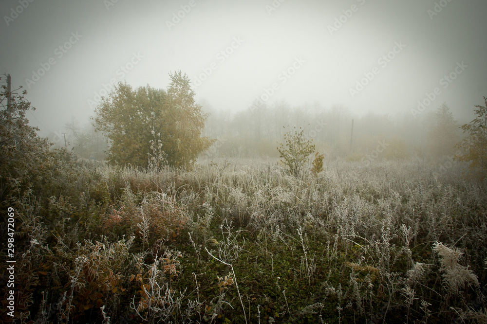  landscape on a foggy frosty day, the first frost