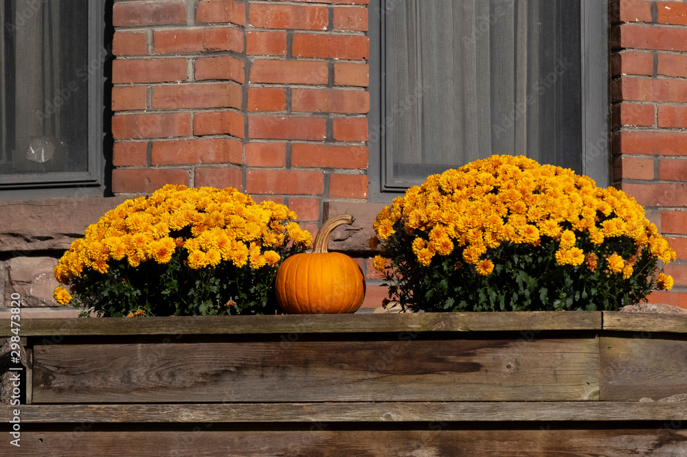 Pumpkin and orange flowers on wooden step