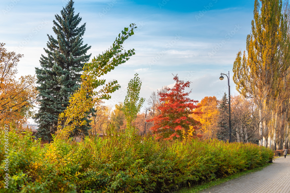 Blurred Autumn Park Landscape
