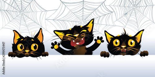 Three black cats on a background of cobwebs and spiders. Halloween party banner.
