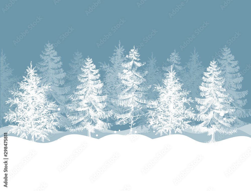 Fototapeta Christmas winter background. Pine trees forest landscape