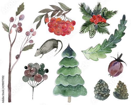 .watercolor Christmas set of berries, Christmas trees, branches for cards with a rat and Christmas elements on a white background