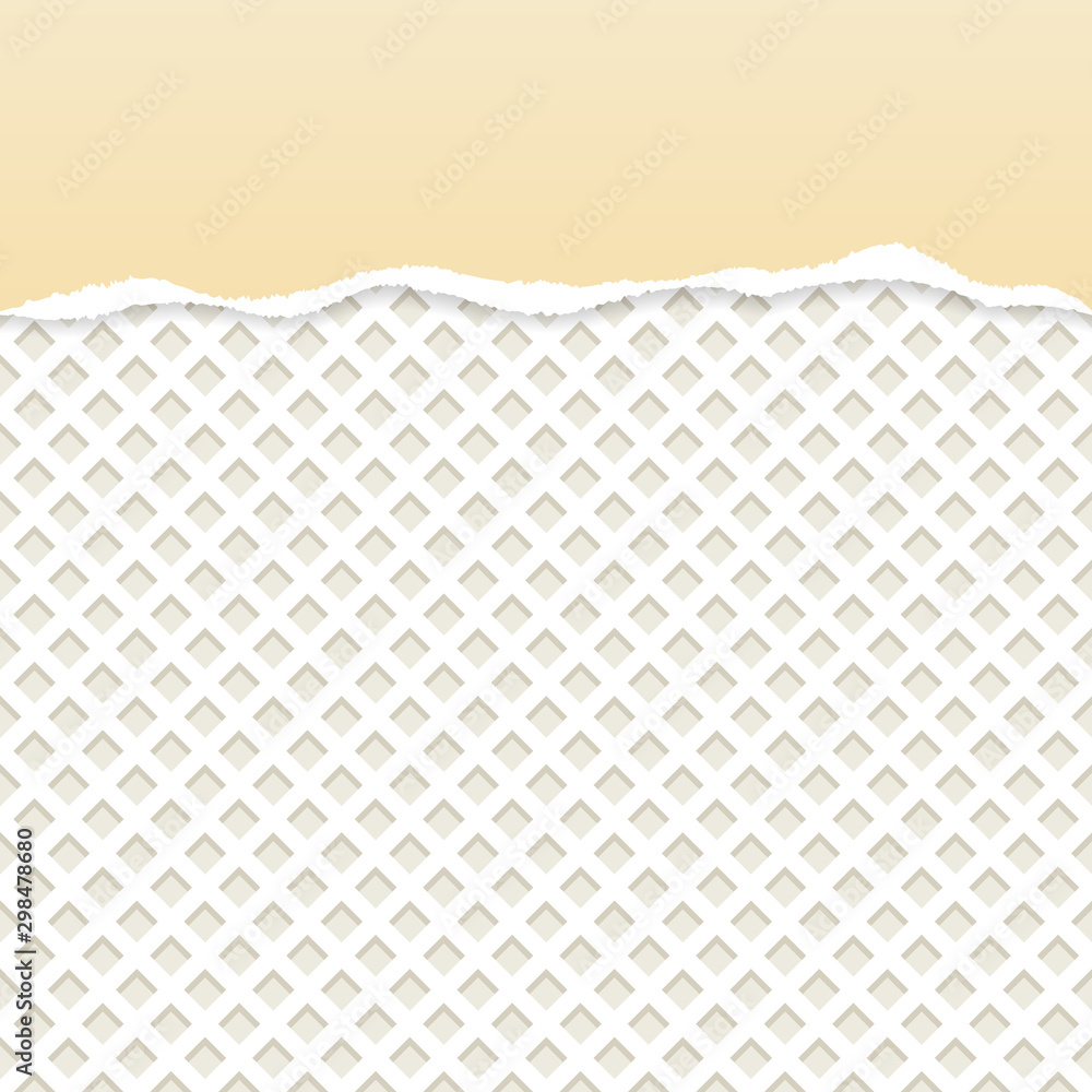 White ripped paper vector with white wafer pattern background. White ripped paper vector with white wafer pattern background.