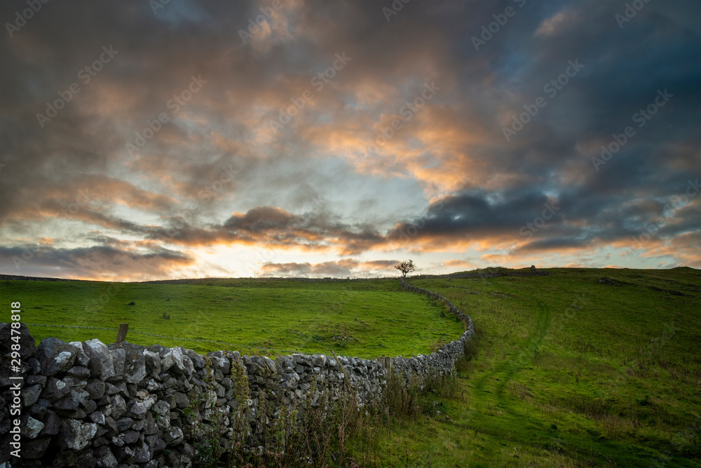 Beautiful Autumn Fall landscape vibrant countryside image of lone tree and stone wall at dawn