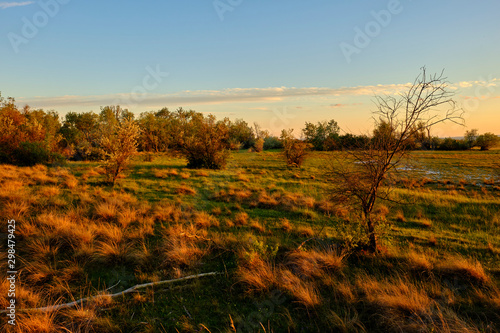 Abendstimmung am Geiselsteller bei Illmitz Neusiedler See bei Illmitz im Nationalpark Neusiedler See, Burgenland, Österreich