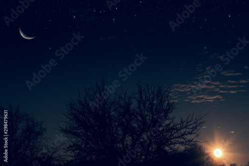 night landscape © Galushchenkova