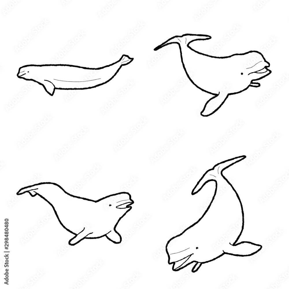 Beluga Whale Animal Vector Illustration Hand Drawn Cartoon Art Stock