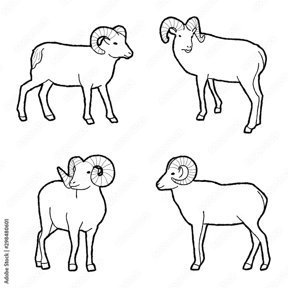 Bighorn Sheep Animal Vector Illustration Hand Drawn Cartoon Art