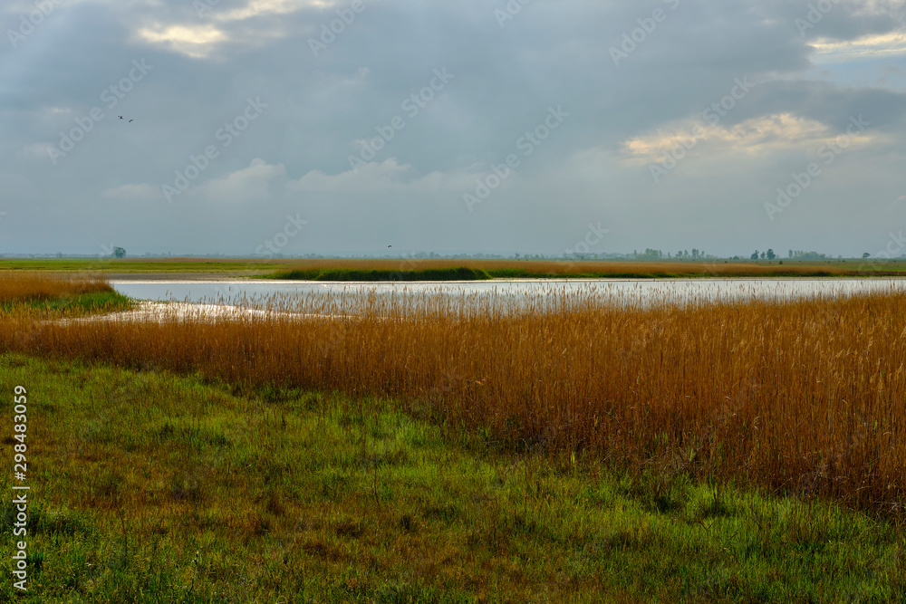 Unwetter über der Langen Lacke und der Wörthenlacke bei Apetlon im Nationalpark Neusiedler See, Burgenland, Österreich