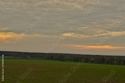 Green field by the forest wall with dramatic cloudy gray sky. Autumn in the Poznań, Poland © Agata