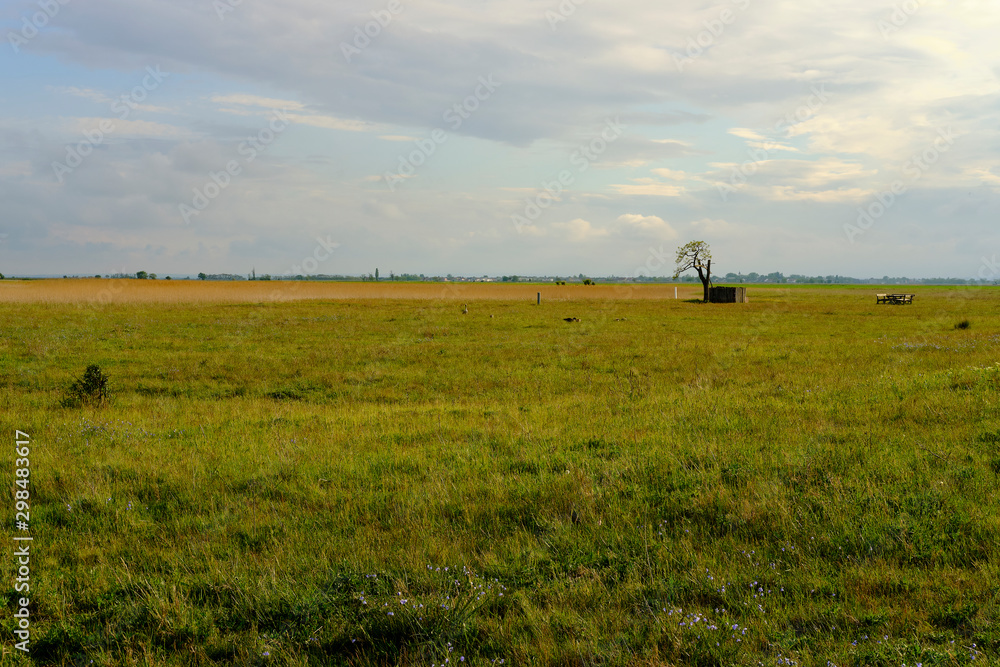 Unwetter über der Langen Lacke und der Wörthenlacke bei Apetlon im Nationalpark Neusiedler See, Burgenland, Österreich Unwetter über der Langen Lacke und der Wörthenlacke bei Apetlon im Nationalpark Neusiedler See, Burgenland, Österreich