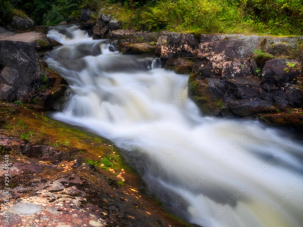 River in the forest. Summer landscape. Wild nature