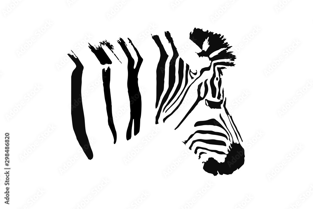 zebra vector illustration zebra vector illustration