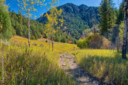 landscape in the mountains