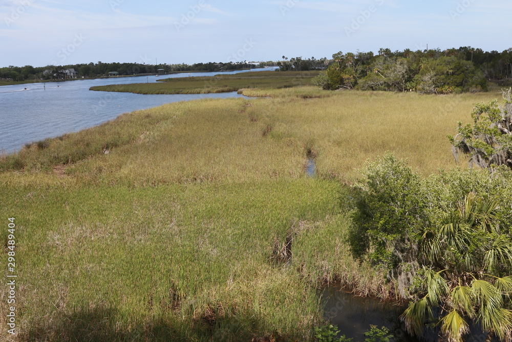 Salt marsh wetlands in Crystal River National Wildlife Refuge, Florida
