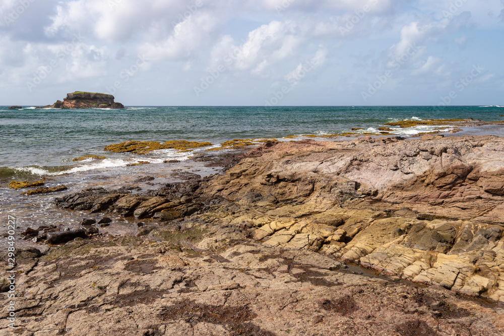 Savanna of Petrifications in Martinique