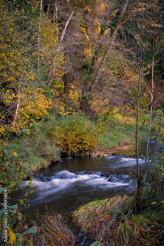 Sylvia Creek With Autumn Colors In Washington State