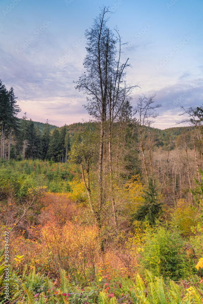 Valley View of Changing Colors In Western Washington State Valley View of Changing Colors In Western Washington State