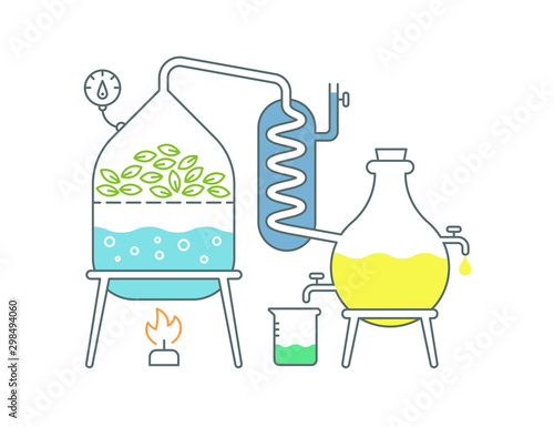 Essential oil making. Distillations aromatic oils production Perfumery substances Distiller equipment.