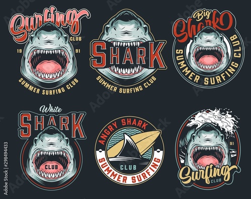 Colorful summer surfing club logos