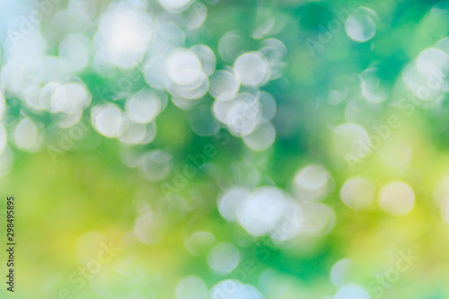 Abstract defocused nature background with colorful bokeh