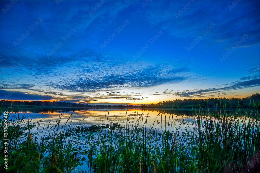 Sunset over Calm Lake with Water Plants