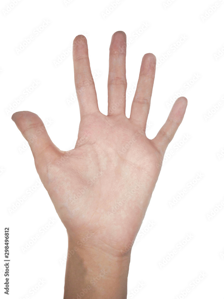 Raising hands and opening hands in body language.Hand and fingers on a white background. Raising hands and opening hands in body language.Hand and fingers on a white background.