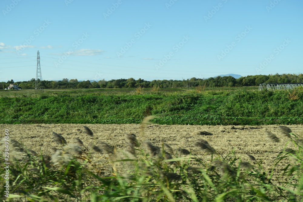 Fototapeta premium 秋の日本国北海道の田舎の畑
